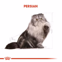 Royal Canin Persian İran Kedilerine Özel Kuru Mama 2 Kg