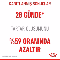 Royal Canin Dantal Care Diş Sağlığı Kedi Maması 1,5 Kg