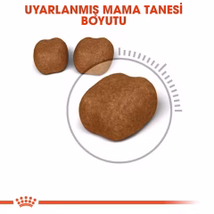 Royal Canin Dantal Care Diş Sağlığı Kedi Maması 1,5 Kg