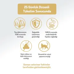 Felicia Az Tahıllı HypoAllergenic Kuzu Etli Yetişkin Kedi Maması 2 Kg