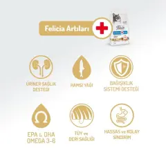 Felicia Az Tahıllı Yetişkin Somonlu HypoAllergenic Kedi Maması 2 Kg