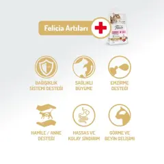Felicia Az Tahıllı Kuzu Etli Yavru HypoAllergenic Kedi Maması 2 Kg