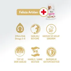 Felicia Az Tahıllı Yavru Tavuklu HypoAllergenic Kedi Maması 2 Kg