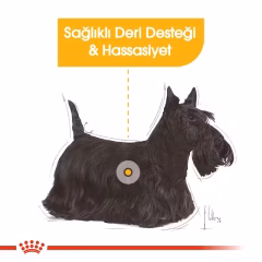 Royal Canin Ccn Mini Derma Yetişkin Köpek Maması 3 Kg