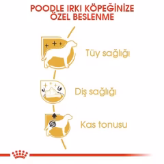 Royal Canin Poodle Adult Köpek Maması 3 Kg
