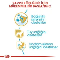 Royal Canin Poodle Puppy Köpek Maması 3 Kg