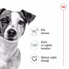 Royal Canin Mini Adult Küçük Irk Köpek Maması 2 Kg