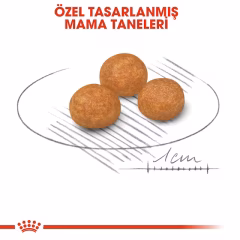 Royal Canin XSmall Yetişkin Köpek Maması 1,5 Kg