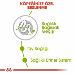 Royal Canin XSmall Yetişkin Köpek Maması 1,5 Kg