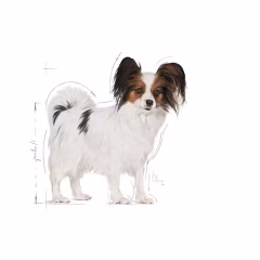Royal Canin XSmall Yetişkin Köpek Maması 1,5 Kg