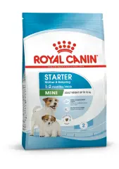 Royal Canin Mini Starter Küçük Irk Yavru Köpek Maması 4kg