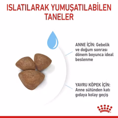 Royal Canin Mini Starter Küçük Irk Yavru Köpek Maması 4kg