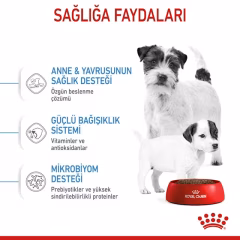Royal Canin Mini Starter Küçük Irk Yavru Köpek Maması 4kg