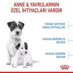 Royal Canin Mini Starter Küçük Irk Yavru Köpek Maması 4kg