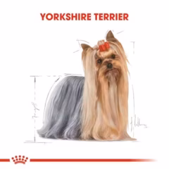 Royal Canin Yorkshire Terrier Yetişkin Köpek Maması 1,5 Kg