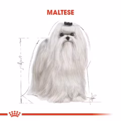 Royal Canin Maltese Yetişkin Köpek Maması 1,5 Kg