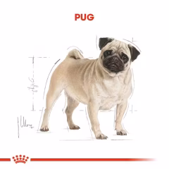 Royal Canin Pug Irkına Özel Köpek Maması 1.5 Kg