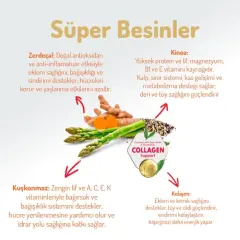Felicia Az Tahıllı Yetişkin Kuzulu Small Mini HypoAllergenic Köpek Maması 3 Kg