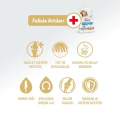 Felicia Az Tahıllı Yetişkin Somonlu Medium Large Breed HypoAllergenic Köpek Maması 3 Kg