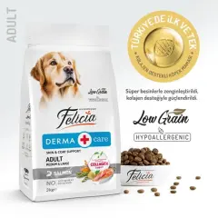 Felicia Az Tahıllı Yetişkin Somonlu Medium Large Breed HypoAllergenic Köpek Maması 3 Kg