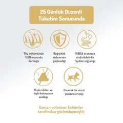 Felicia Az Tahıllı Yavru Kuzulu Small Mini HypoAllergenic Köpek Maması 3 Kg