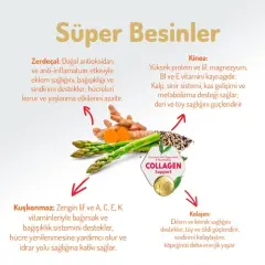 Felicia Az Tahıllı Yavru Kuzulu Small Mini HypoAllergenic Köpek Maması 3 Kg