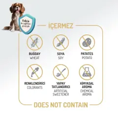 Felicia Az Tahıllı Yetişkin Somonlu Small HypoAllergenic Köpek Maması 3 Kg
