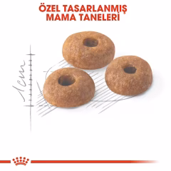 Royal Canin Fit 32 Yetişkin Açık Kedi Maması 1 kg
