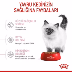 Royal Canin Kitten Yavru Açık Kedi Maması 1 Kg