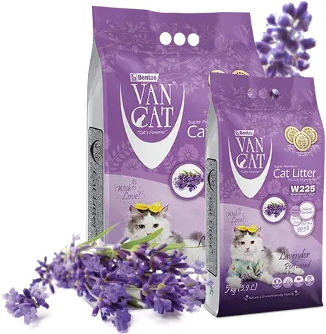 Van Cat Lavanta Kokulu Ince Taneli Kedi Kumu 10 Kg