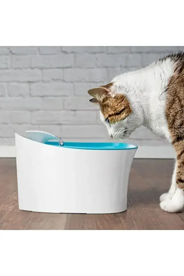 Pet Water Fountain Su Pınarı 2.5Lt