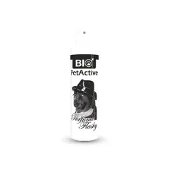 Pet Active Flashy Menekşe Kokulu Köpek Parfümü 50 ml