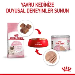 Royal Canin Mother and Babycat Kedi Konservesi 195 gr