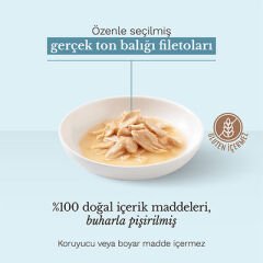 Schesir Salmone Somonlu Kedi Konservesi 85 Gr