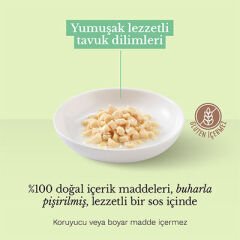 Schesir Pollo Jelly Tavuk Fileto Kedi Konservesi 85 Gr