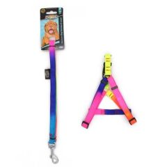 DOGLİFE GÖKKUŞAĞI GÖĞÜS TASMASI+GEZDİRME 2CM-202495