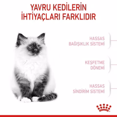 Royal Canin Kitten Yavru Kedi Maması 4 Kg
