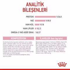 Royal Canin Kitten Yavru Kedi Maması 10 kg
