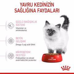 Royal Canin Kitten Yavru Kedi Maması 10 kg