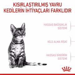 Royal Canin Kitten Sterilised Kısır Yavru Kedi Maması 2 Kg