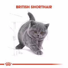 Royal Canin Kitten British Shorthair Yavru Irk Kedi Maması 2 Kg