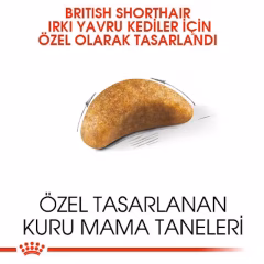 Royal Canin Kitten British Shorthair Yavru Irk Kedi Maması 2 Kg