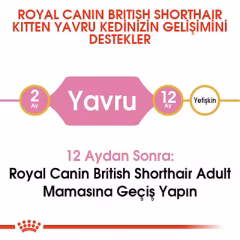 Royal Canin Kitten British Shorthair Yavru Irk Kedi Maması 2 Kg