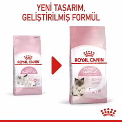 Royal Canin BabyCat Yavru Kedi Maması 4 kg