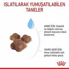 Royal Canin BabyCat Yavru Kedi Maması 4 kg