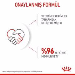 Royal Canin BabyCat Yavru Kedi Maması 2 Kg