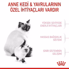Royal Canin BabyCat Yavru Kedi Maması 2 Kg