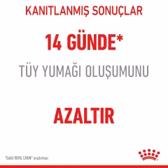 Royal Canin Hairball Tüy Yumağı Olan Yetişkin Kuru Kedi Maması 2 Kg