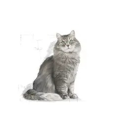 Royal Canin Sensible 33 Hassas Kedi Maması 2 Kg