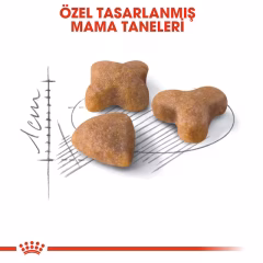 Royal Canin Sensible Kedi Maması 15 KG
